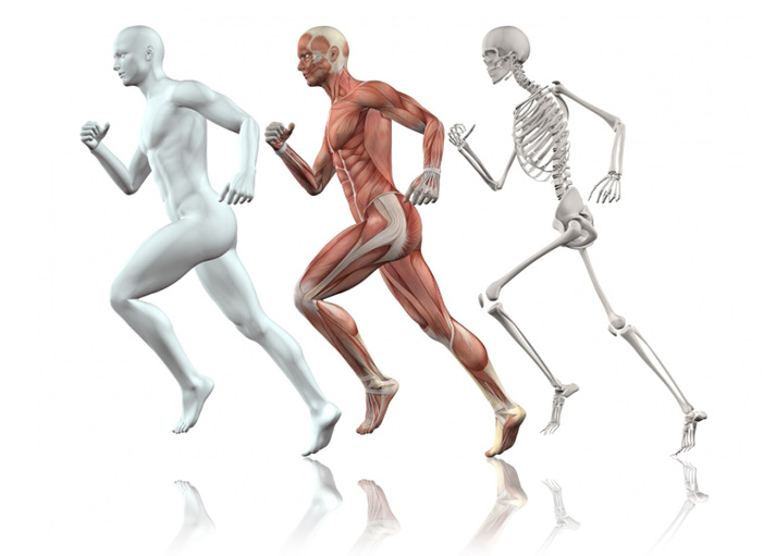 Housez Osteopathe - Accueil